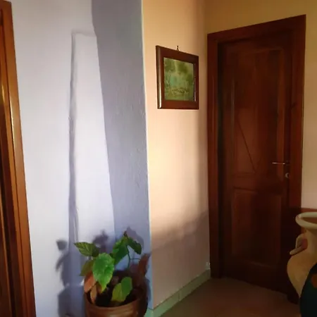 Apartament Stazzzu Solianu *