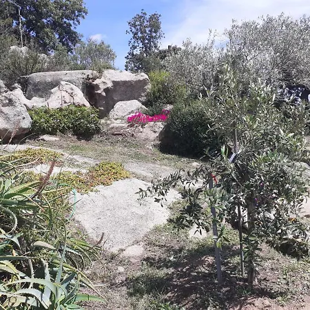 Stazzzu Solianu Apartament