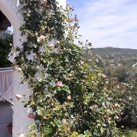 Stazzzu Solianu Apartament Arzachena